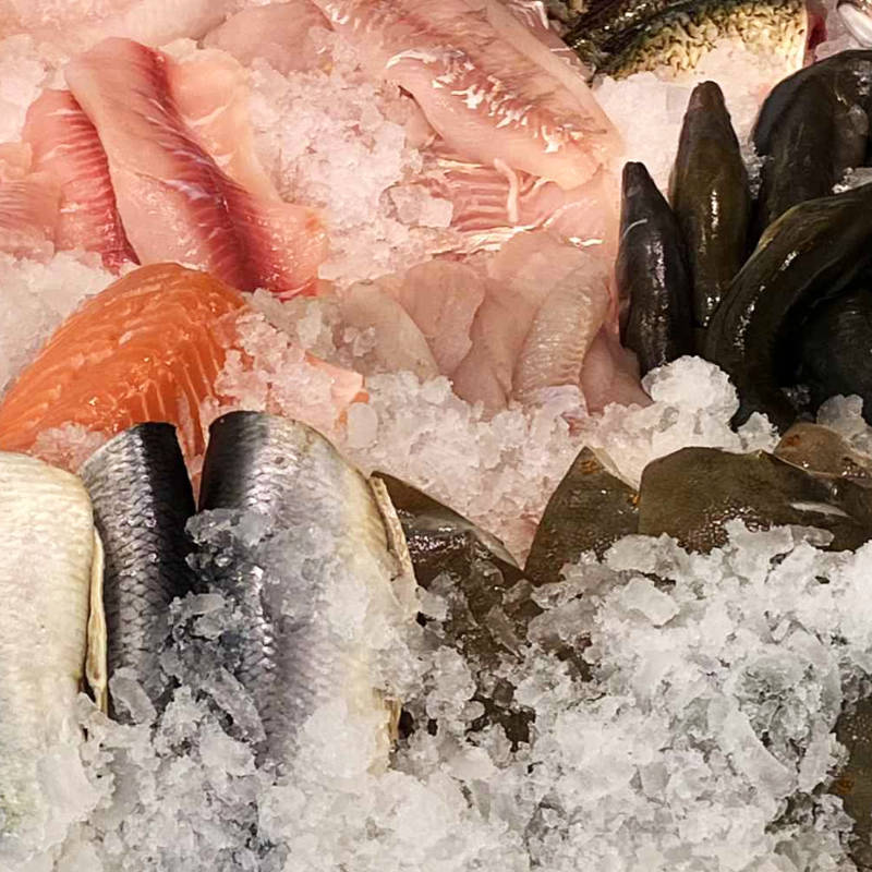 frischer Fisch