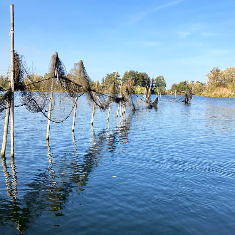 Fischernetze an der Havel